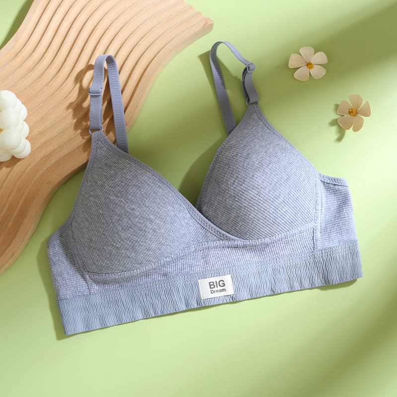 Reggiseno in cotone stile fran - Embroidery Ai recensione e prezzo