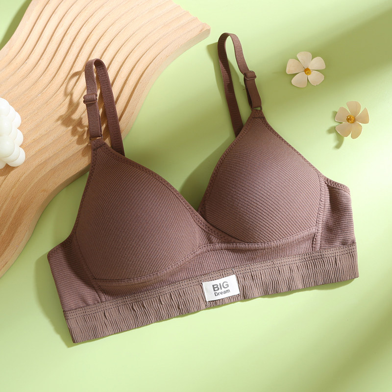 Reggiseno in cotone stile fran - Embroidery Ai recensione e prezzo